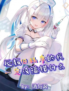 反叛旧秩序的我一定没搞错什么