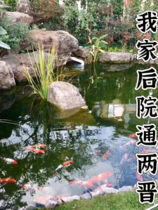 我家后院通两晋