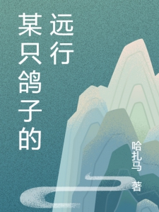 某只鸽子的远行