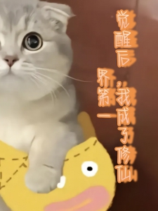 觉醒后，我成了修仙界第一