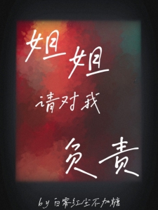 姐姐请对我负责