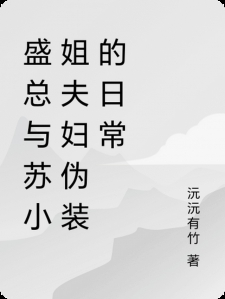 盛总与苏小姐夫妇伪装的日常