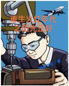 重生火红年代之阳光正好