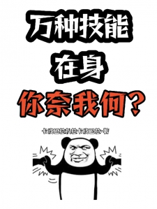 万种技能在身，你奈我何？