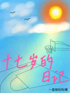 十七岁的日记