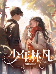 少年林凡
