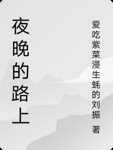 夜晚的路上