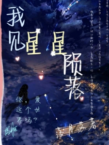 我见星星陨落