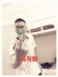 鸡与蛙