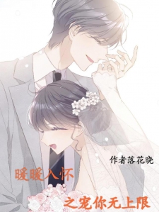暖暖入怀之宠你无上限
