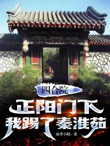 四合院：正阳门下我踢了秦淮茹