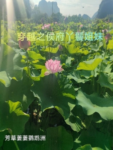 穿越之侯府丫鬟姐妹
