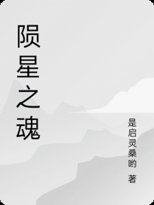 陨星之魂