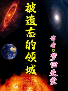 被遗忘的领域