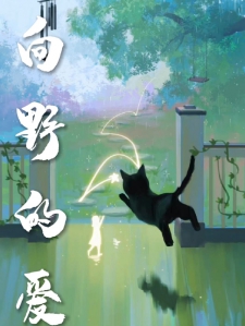 向野的爱