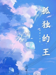 孤独的王