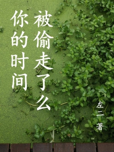 你的时间被偷走了么?