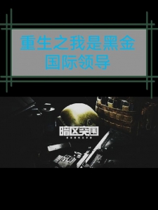 重生之我是黑金国际领导
