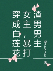 穿成白莲花女主，暴打渣男男主