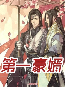 第一豪婿