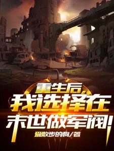 重生后，我选择在末世做军阀！