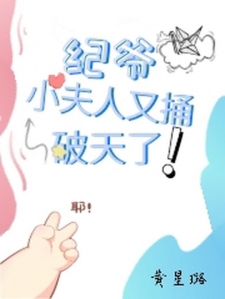 纪爷，小夫人又捅破天了！