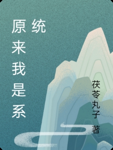 原来我是系统