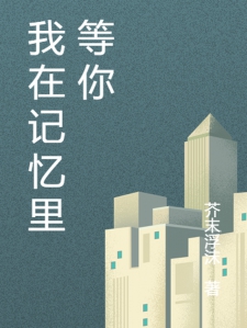 我在记忆里等你